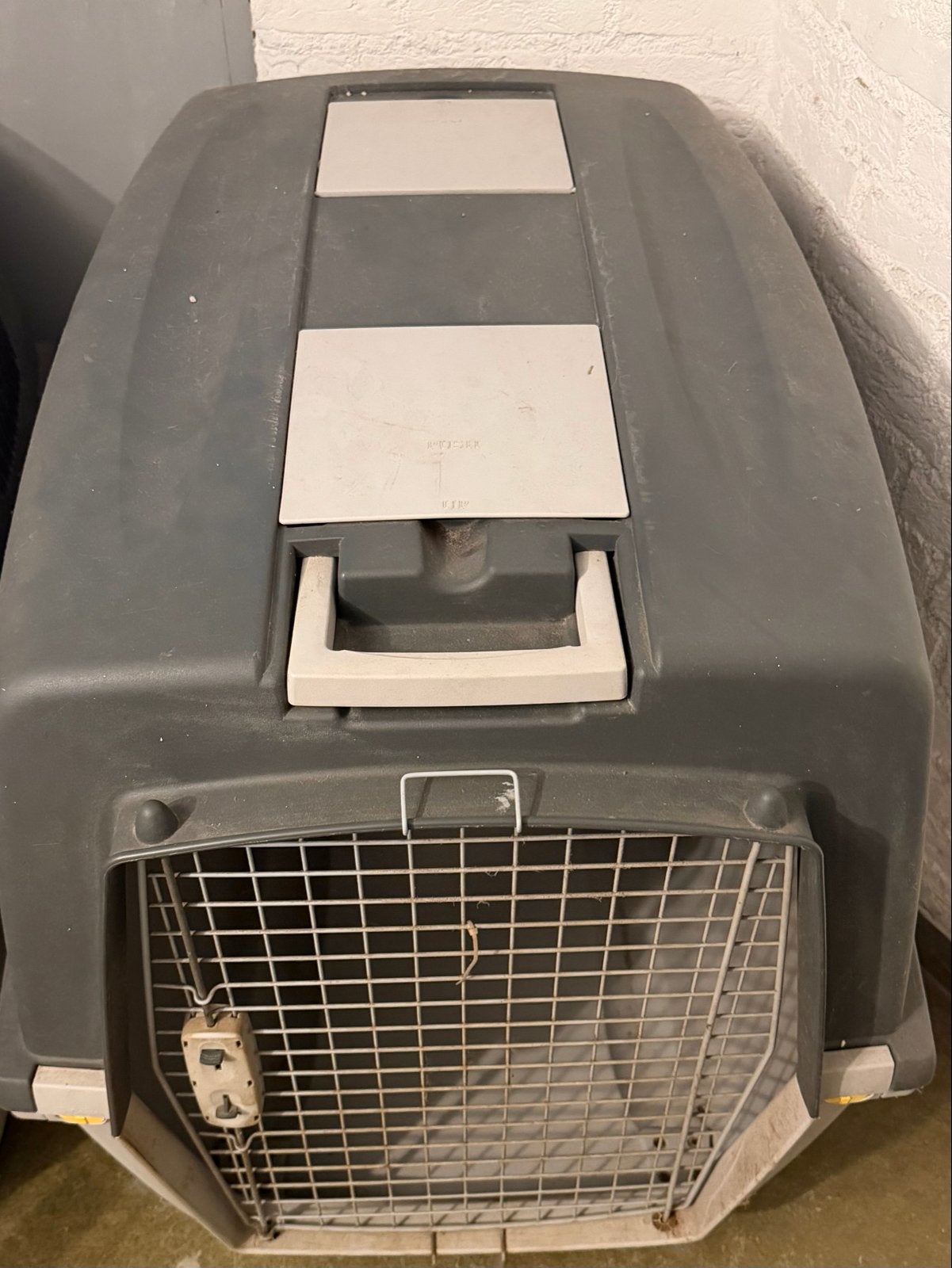 Hond transport box XL, Ophalen
