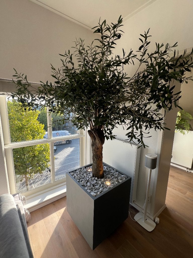 Kunst olijfboom met pot en verlichting, Ophalen, 200 cm of meer, Overige soorten, In pot