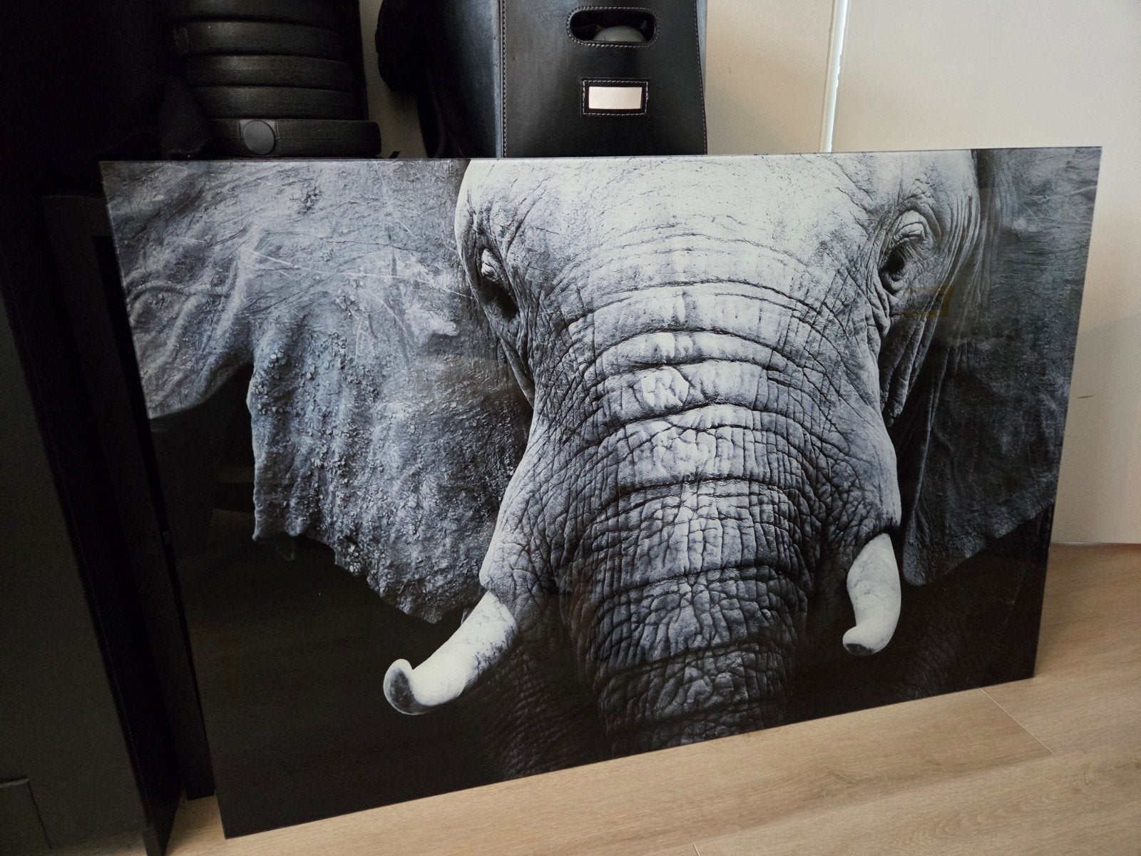 Glasschilderij olifant 120x80cm, Ophalen, Zo goed als nieuw, Schilderij, 100 tot 125 cm