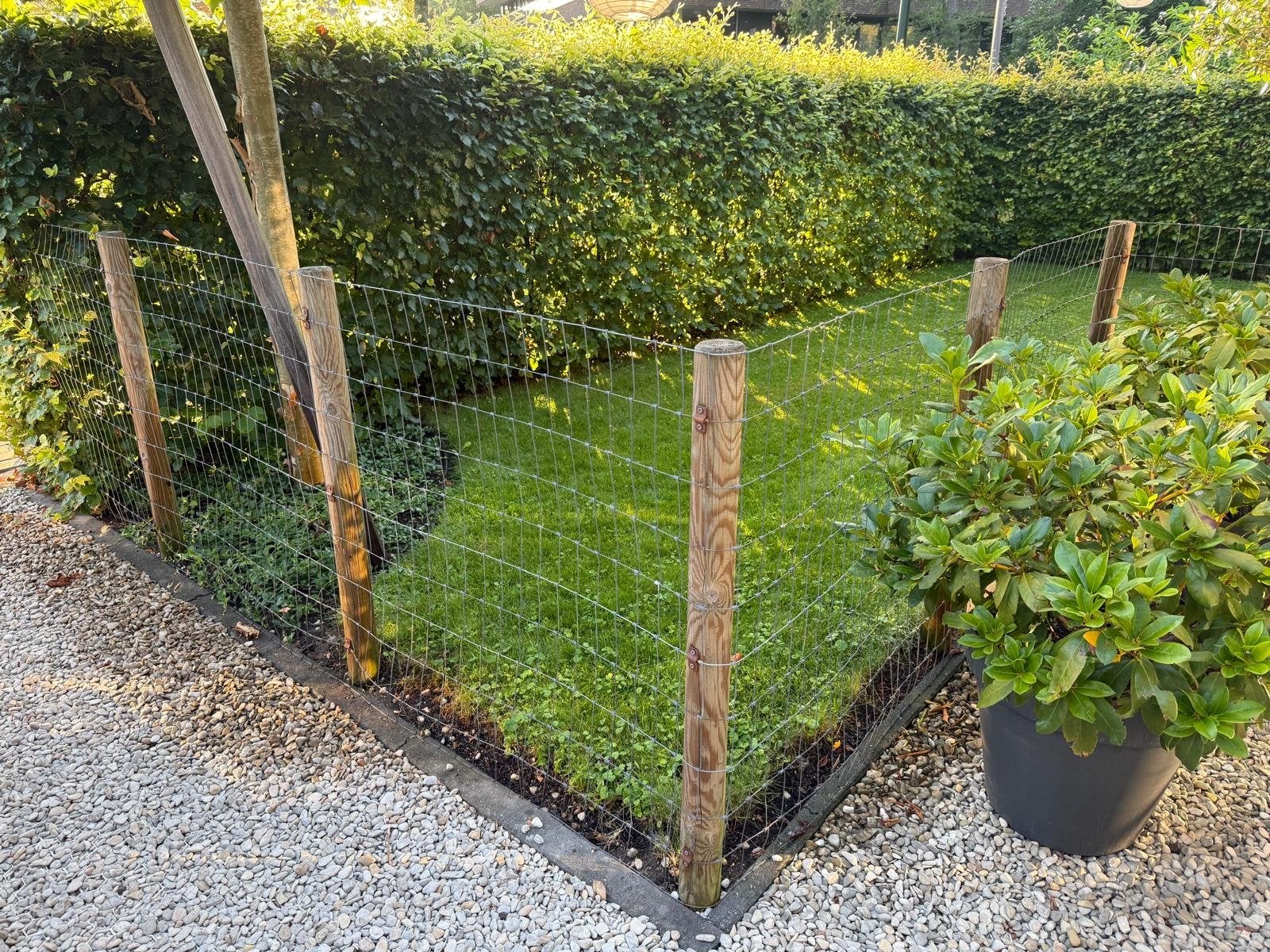 Gratis: Geïmpregneerde afrasteringspalen, hekje en gaas, Ophalen, Gebruikt, Hout, Gaashekwerk