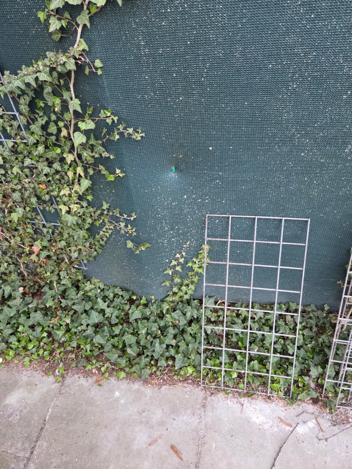 Gegalvaniseerde gaaspanelen 30x60cm, Tuin en Terras, Tuinhekken en Hekwerk, Ophalen, Gebruikt, IJzer, Gaashekwerk