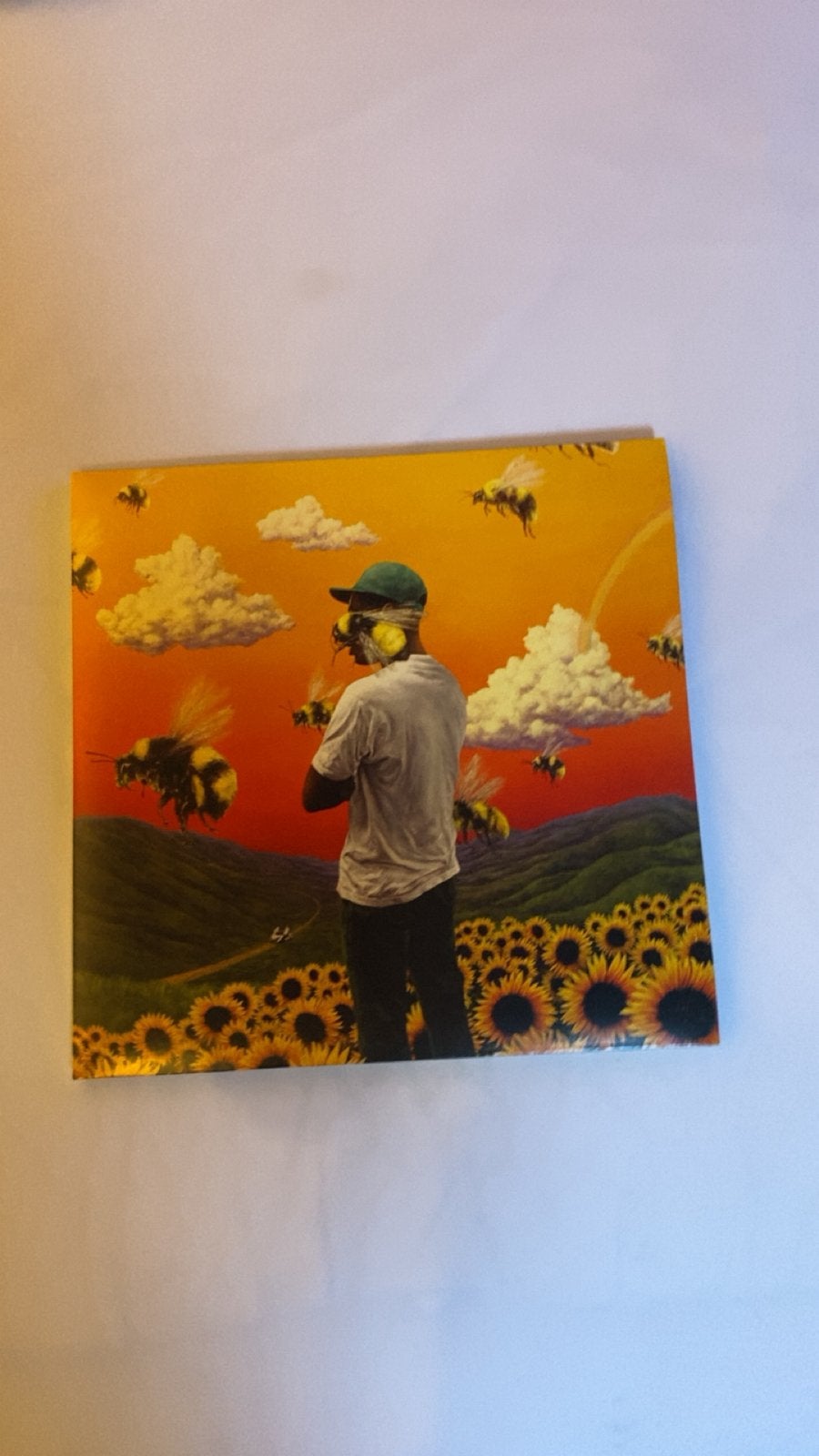 Flowerboy tyler the creator vinyl, Cd's en Dvd's, Ophalen of Verzenden, Zo goed als nieuw
