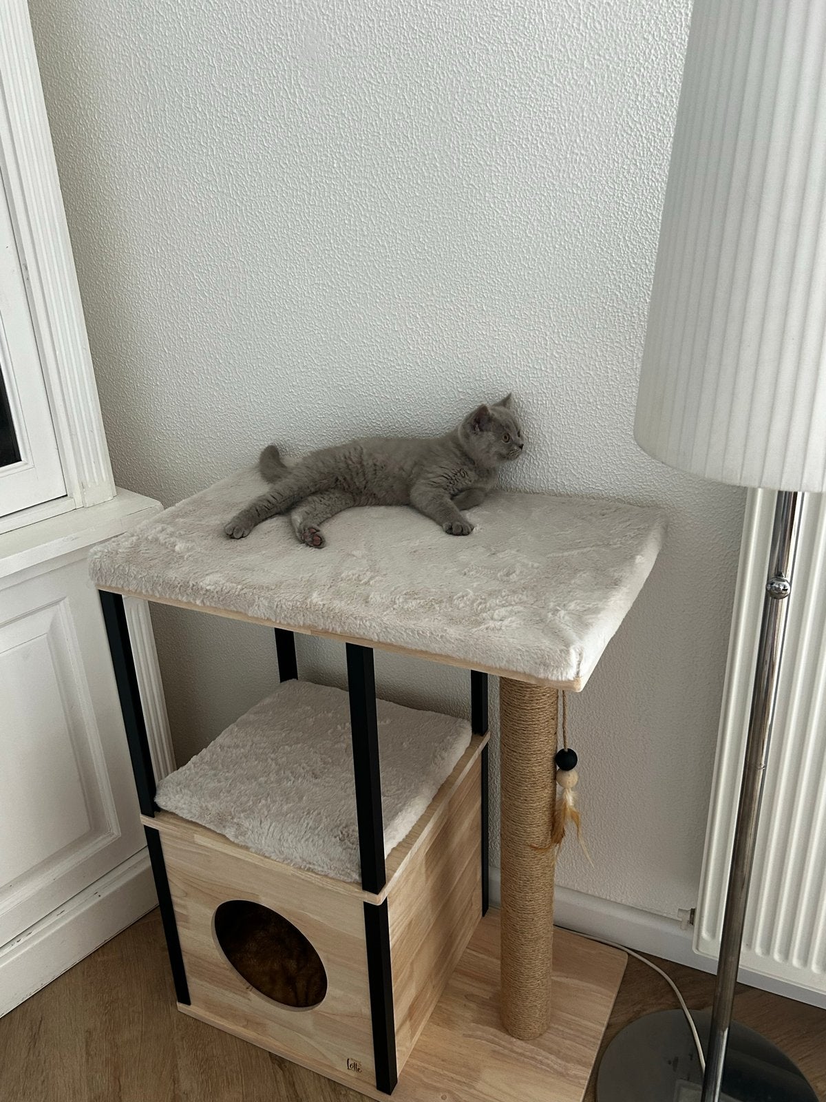 Kattenboom Designeg by Lotte, Ophalen, Nieuw