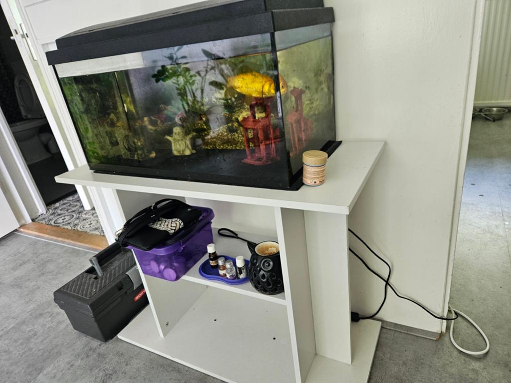 Aquarium  met meubel, vissen en filter, Ophalen, Inclusief vissen, Gebruikt, Gevuld zoetwateraquarium
