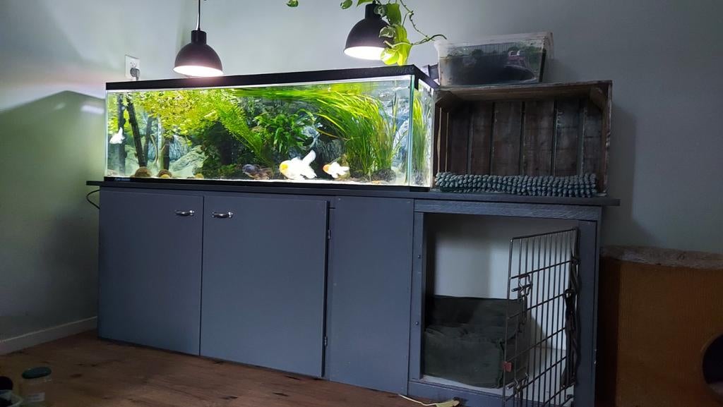 Groot aquarium 130x50x40cm, Dieren en Toebehoren, Vissen | Aquaria en Toebehoren, Ophalen, Leeg aquarium