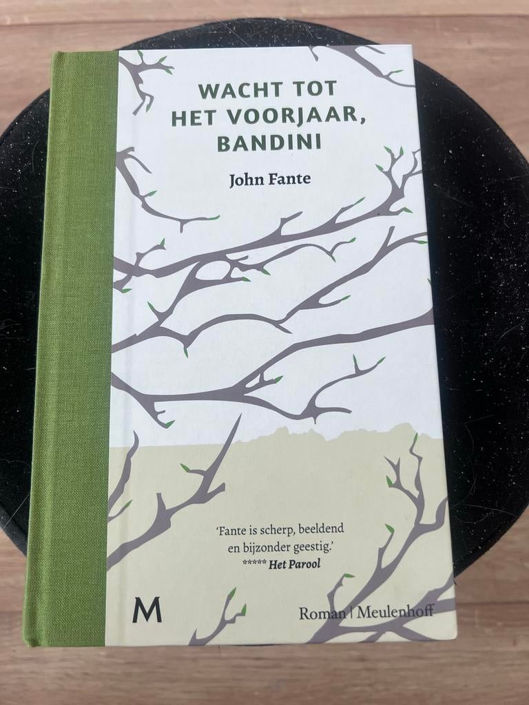Wacht tot het voorjaar, Bandini - John Fante, Ophalen of Verzenden, Zo goed als nieuw, Amerika
