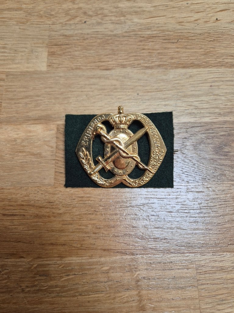 Geneeskundige troepen baret embleem, Verzamelen, Ophalen of Verzenden, Landmacht, Nederland, Embleem of Badge