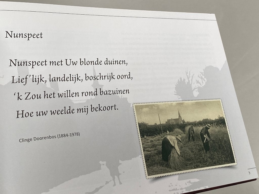 Groeten uit Nunspeet Verleden en Heden 2014, Ophalen of Verzenden, 20e eeuw of later, Zo goed als nieuw