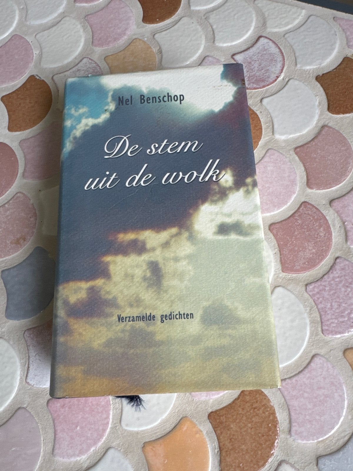 De stem uit de wolk - Nel Benschop (Verzamelde gedichten), Ophalen, Zo goed als nieuw, Eén auteur