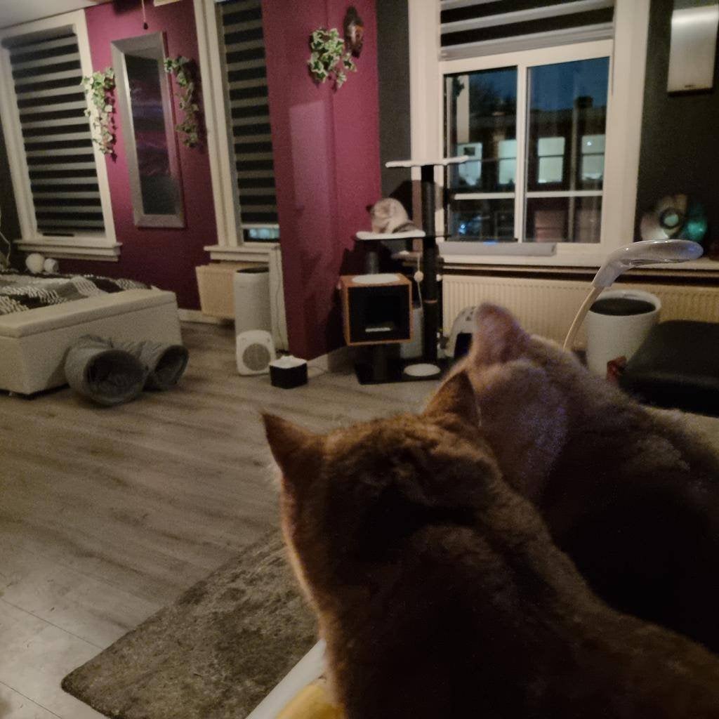 Room for rent A'dam west, Huizen en Kamers, Kamers te huur, Minder dan 20 m², Amsterdam