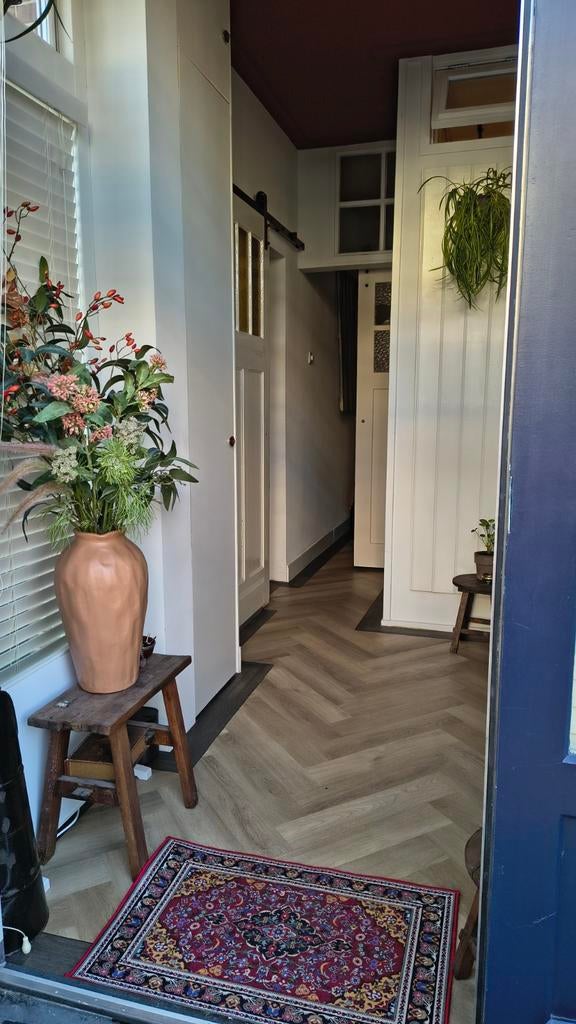 Nijmegen: huis- en kattenoppas gevraagd, Huizen en Kamers, Kamers te huur, Nijmegen, 35 tot 50 m²