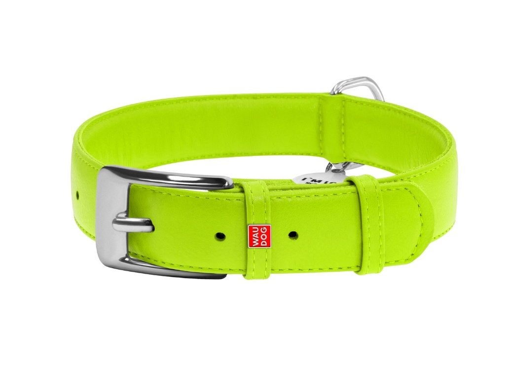 WAUDOG Glamour Halsband Leder Groen XL Nek 46-60 cm KOOPJE!, Dieren en Toebehoren, Hondenhalsbanden en Penningen, Nieuw, Handgemaakt