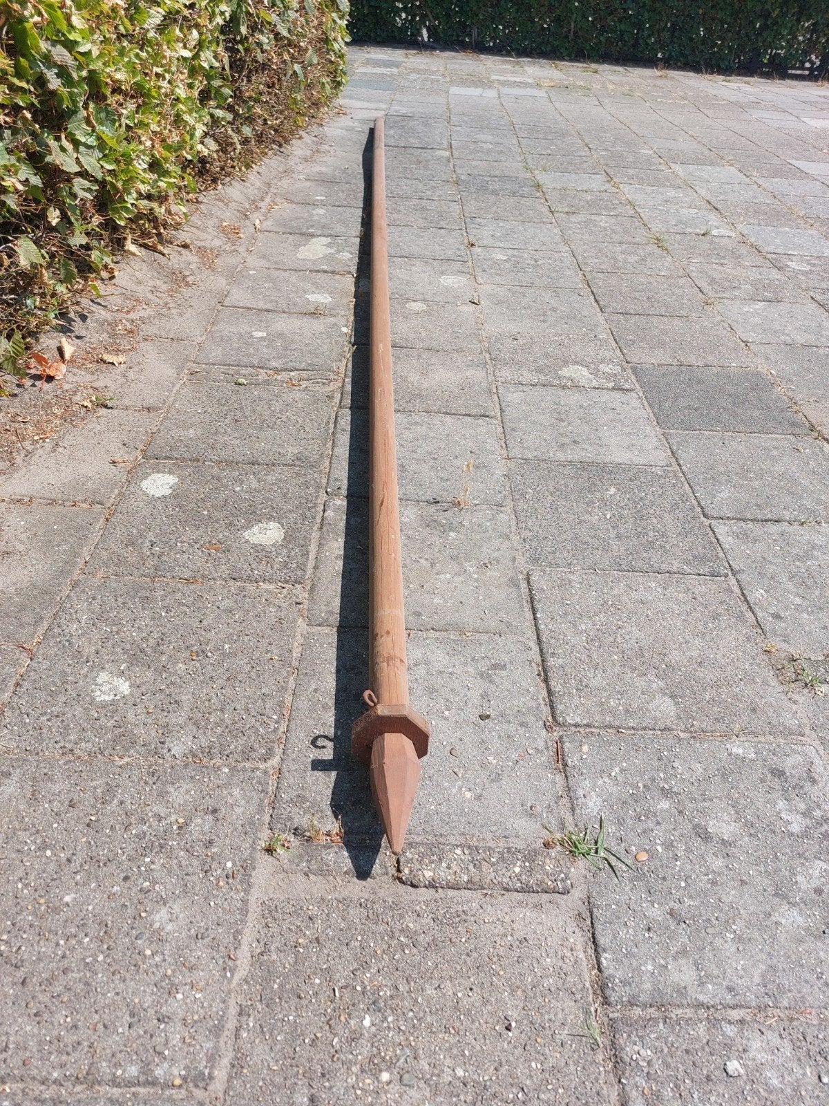 Vaggenmast, Ophalen of Verzenden