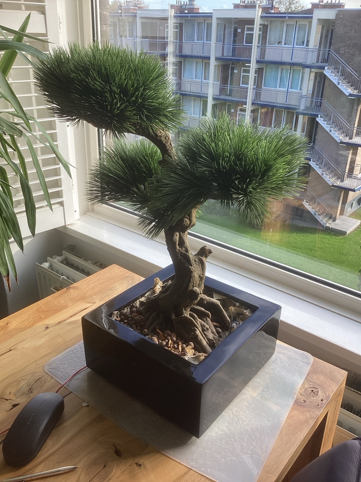 MAXIFLEUR Kunst Bonsai Groen 71 cm met Zwarte Pot, Ophalen, Binnen, Kunstplant, Overige merken