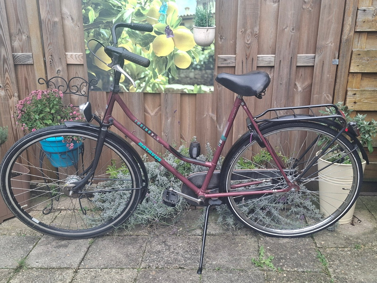 Batavus Torino damesfiets - Goed onderhouden, Ophalen, Terugtraprem, Batavus, 53 tot 56 cm
