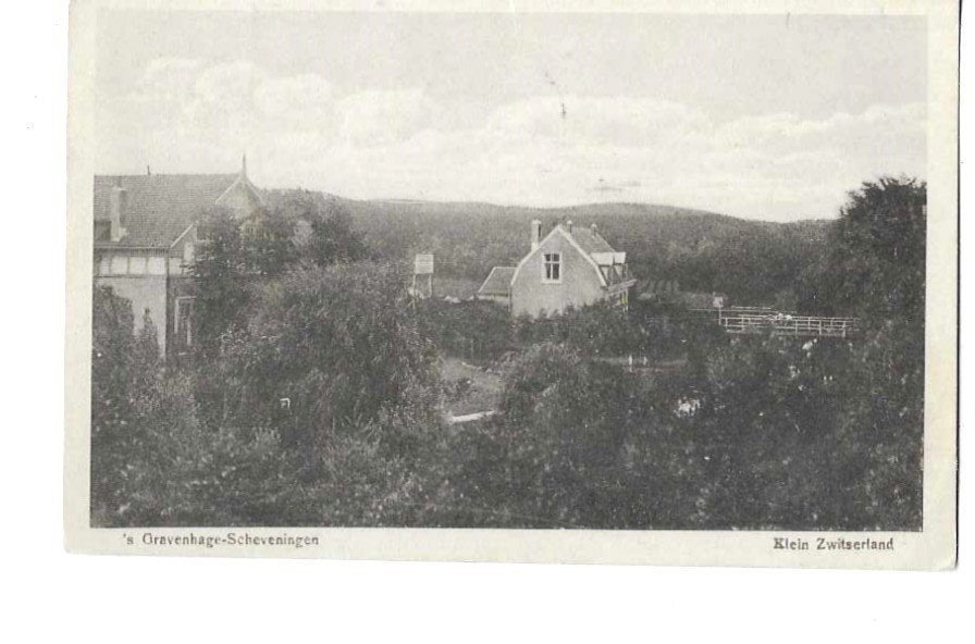 's Gravenhage, Ophalen of Verzenden, Voor 1920, Gelopen, Zuid-Holland