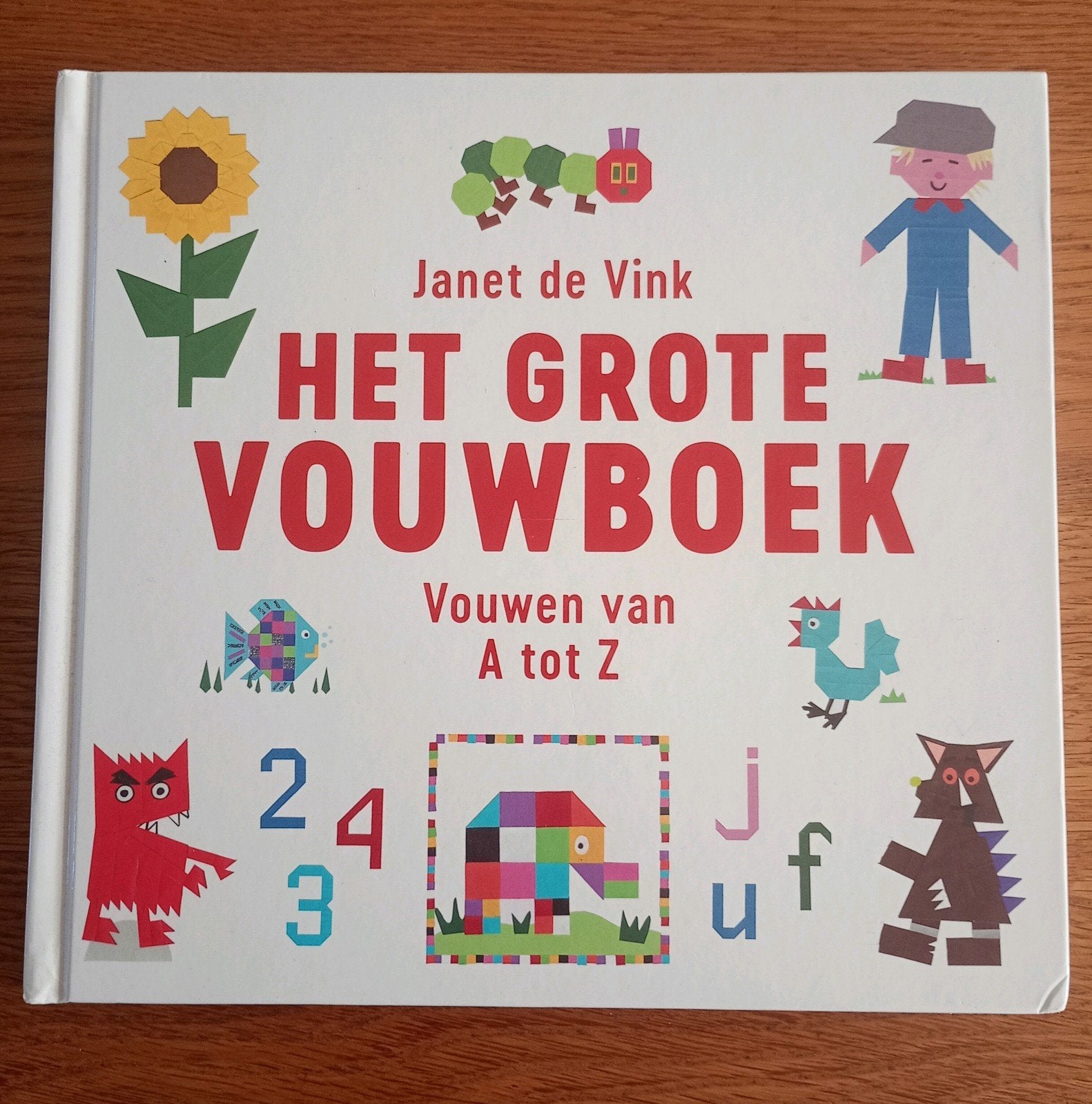 het grote vouwboek van Janet de Vink, Boeken, Ophalen of Verzenden, Gelezen, Overige onderwerpen