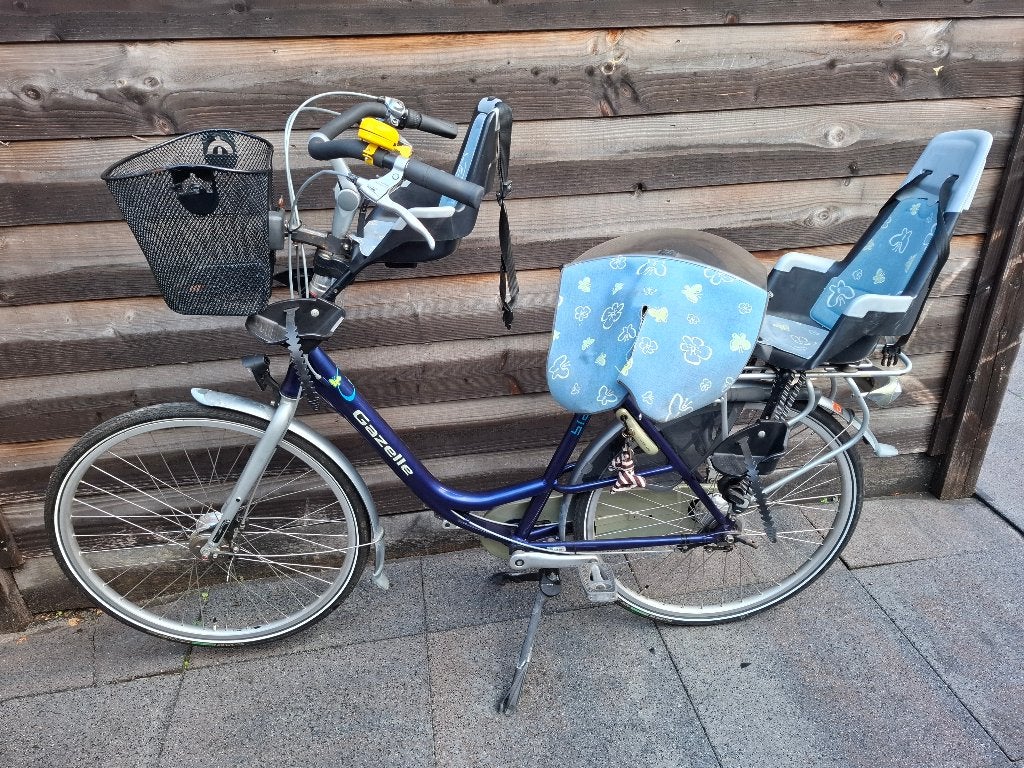 Complete moederfiets, Ophalen, 2 zitjes, Velgrem, Mandje