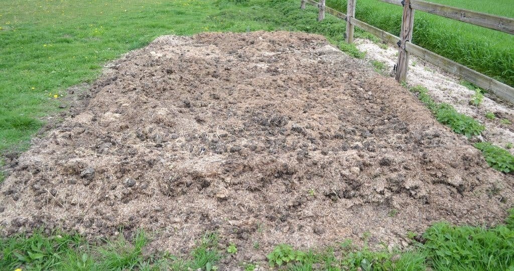 Laatste gratis pure paardenmest, Tuin en Terras, Ophalen, Tuinaarde