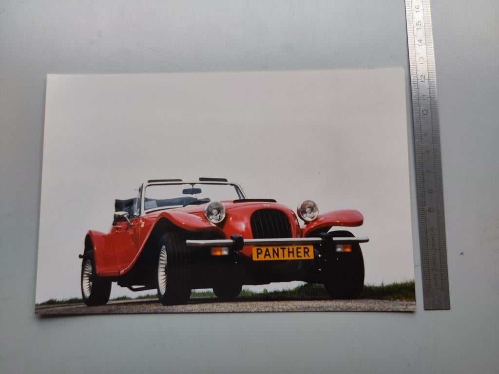(421) Panther Kallista 2.8 persfoto, Ophalen of Verzenden, Overige onderwerpen