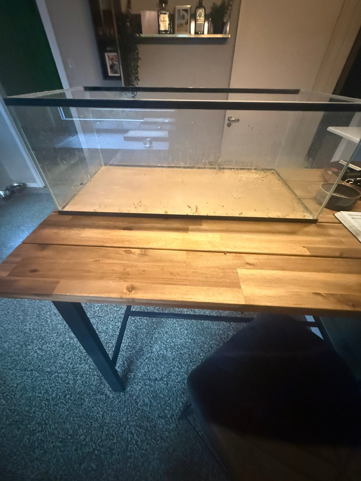 Terrarium van glas, Ophalen, Zo goed als nieuw