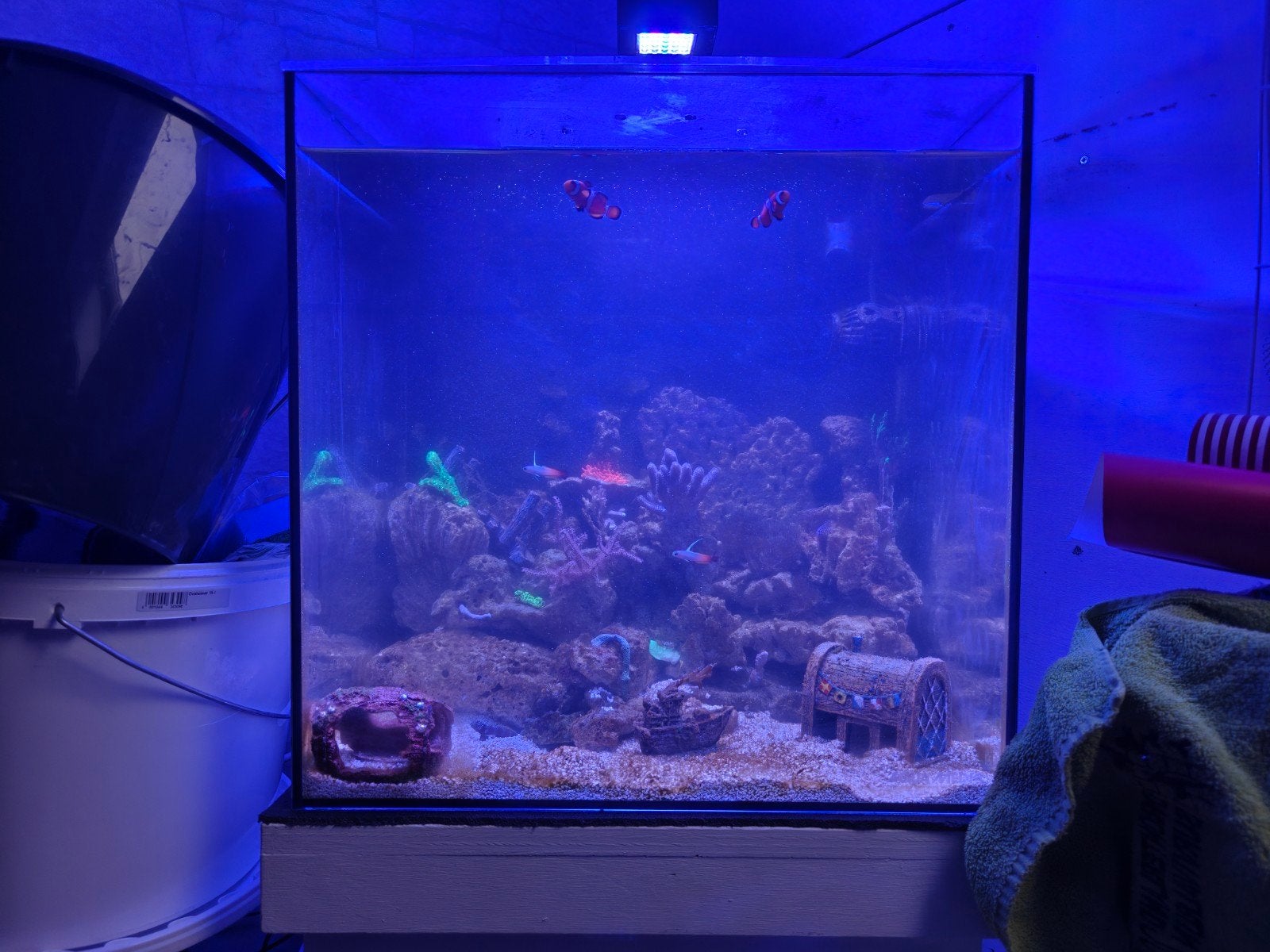 Aquarium Aqua medic 90 liter, Ophalen, Gebruikt, Leeg aquarium, Inclusief toebehoren