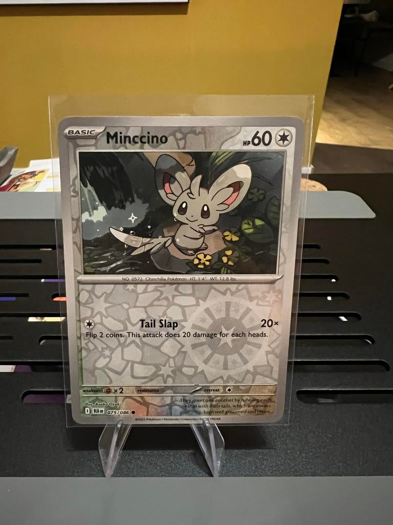 Minccino Pokémon Kaart Reverse Holo 075/086 - Basic HP60, Ophalen of Verzenden, Zo goed als nieuw, Losse kaart