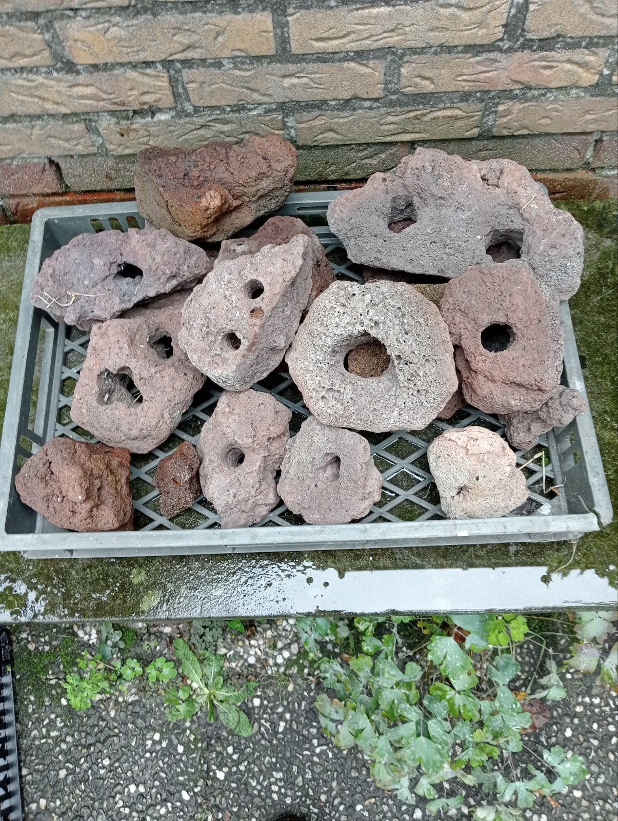 lavastenen, Ophalen, Gebruikt, Plant(en), Steen of Hout