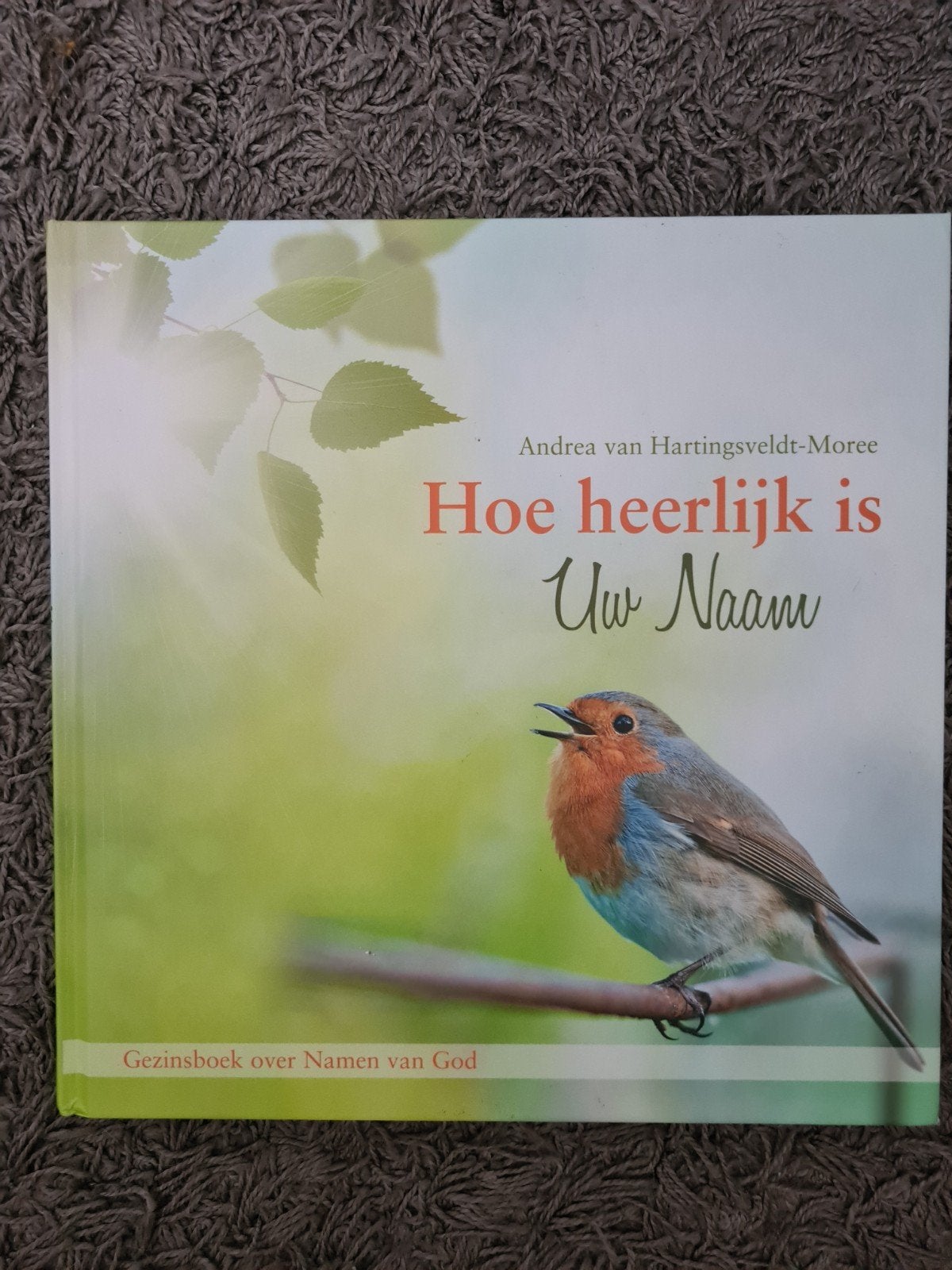 Andrea Hartingsveldt-Moree - Hoe heerlijk is Uw Naam, Boeken, Non-fictie, Ophalen of Verzenden, Zo goed als nieuw, Andrea Hartingsveldt-Moree