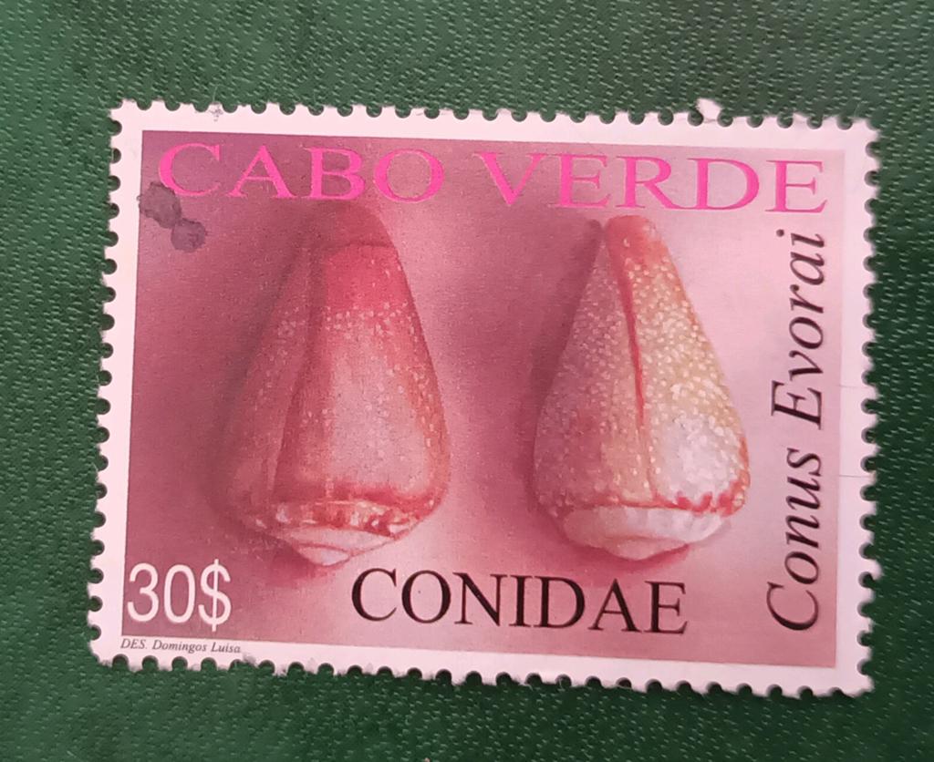 Cabo verdi pz conidae, Verzenden, Overige landen, Gestempeld