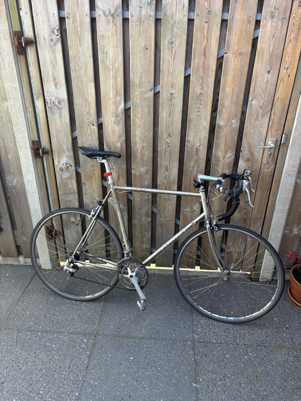 Giant Peloton Sports Series klassieke racefiets - maat 62cm, 28 inch, Gebruikt, 61 tot 65 cm, Ophalen