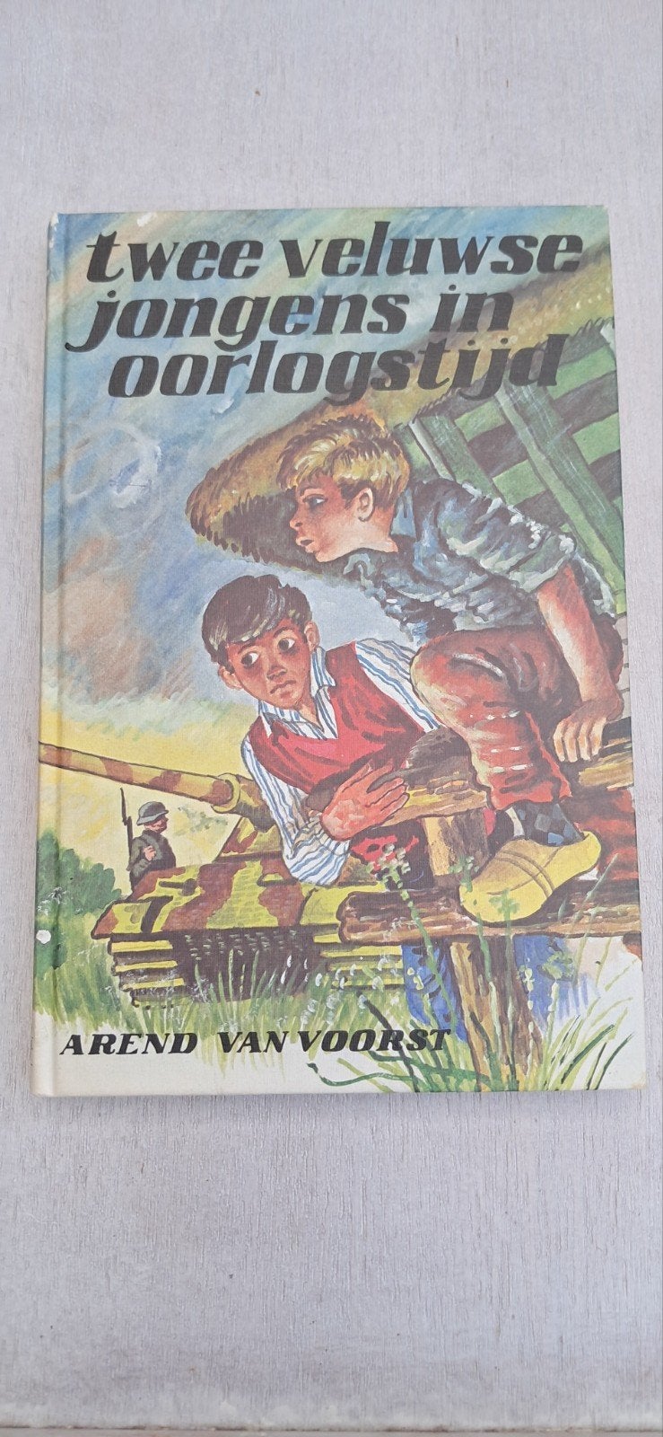 Twee Veluwse jongens in oorlogstijd - Arend van Voorst, Ophalen of Verzenden, Gelezen, Arend van Voorst