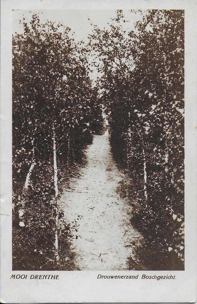 Pa1004 Oude gelopen Ansichtkaart Drouwenerzand Boschgezicht, Ophalen of Verzenden, 1940 tot 1960, Gelopen