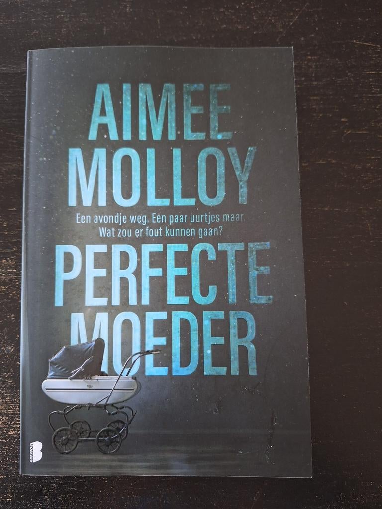 Aimee Molloy - Perfecte moeder  in goede staat, Ophalen of Verzenden, Zo goed als nieuw