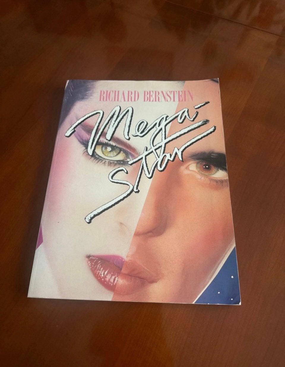 Richard Bernstein  Mega Ston., Boeken, Ophalen, Zo goed als nieuw, Kunst en Cultuur