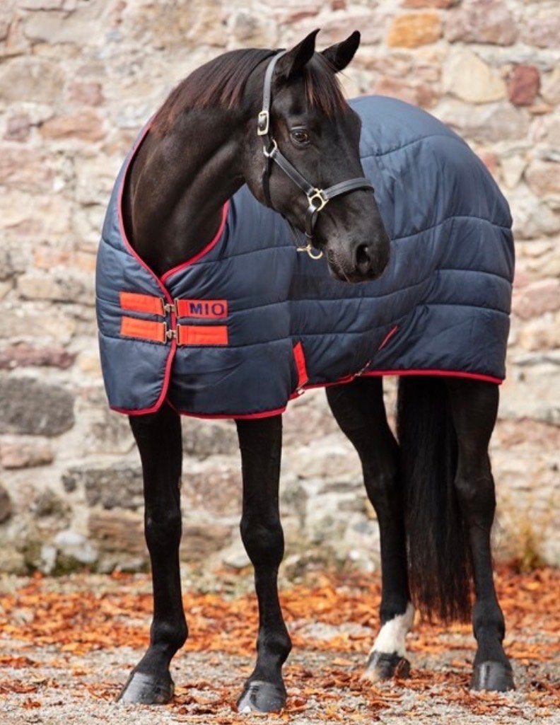 Amigo mio stal/onderdeken, 150gr, maat 183, Dieren en Toebehoren, Paarden en Pony's | Dekens en Dekjes, Gebruikt, 0 g, Full (L)