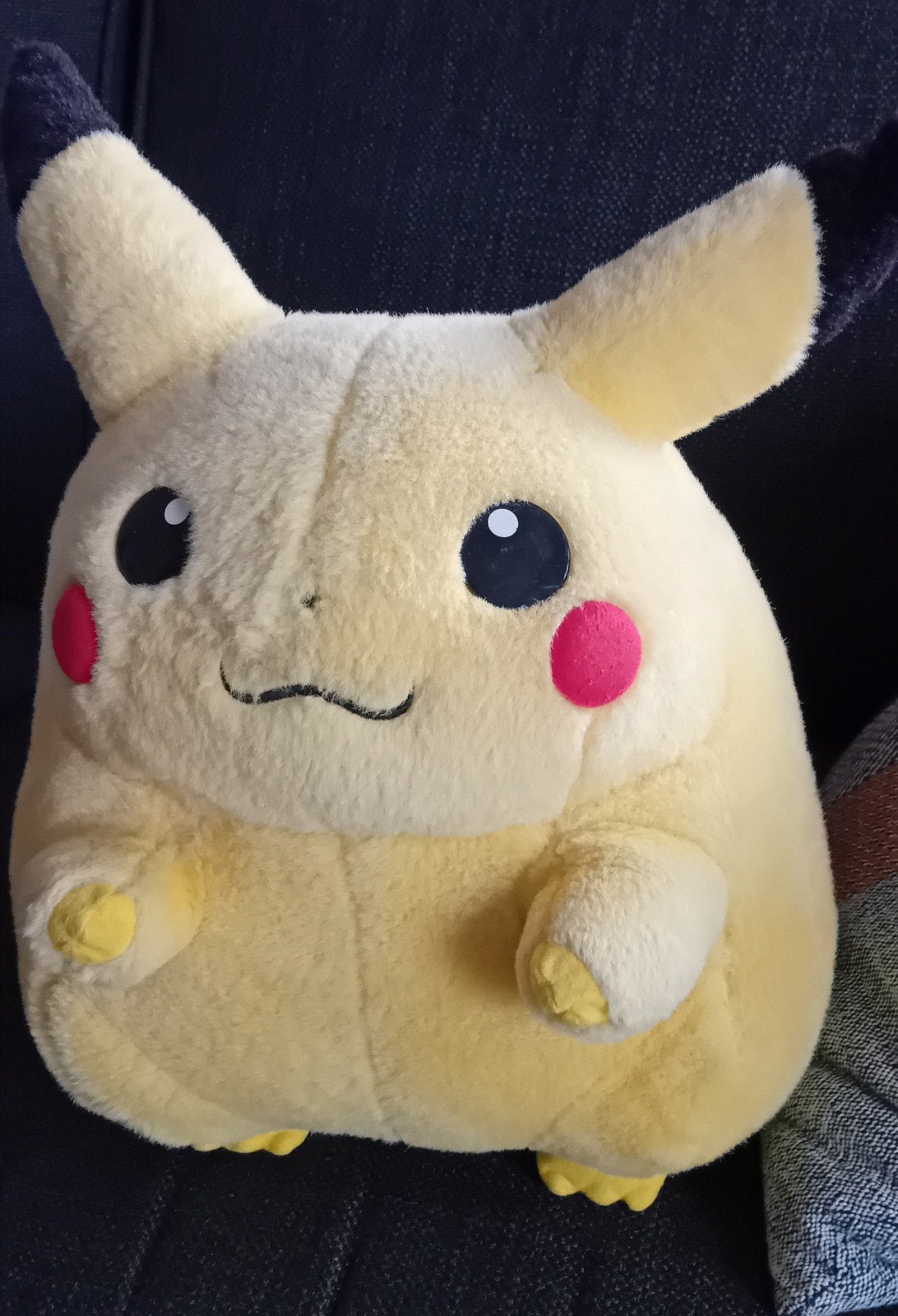 Pokémon Pikachu knuffel, Ophalen, Overige merken, Overige karakters, Overige typen