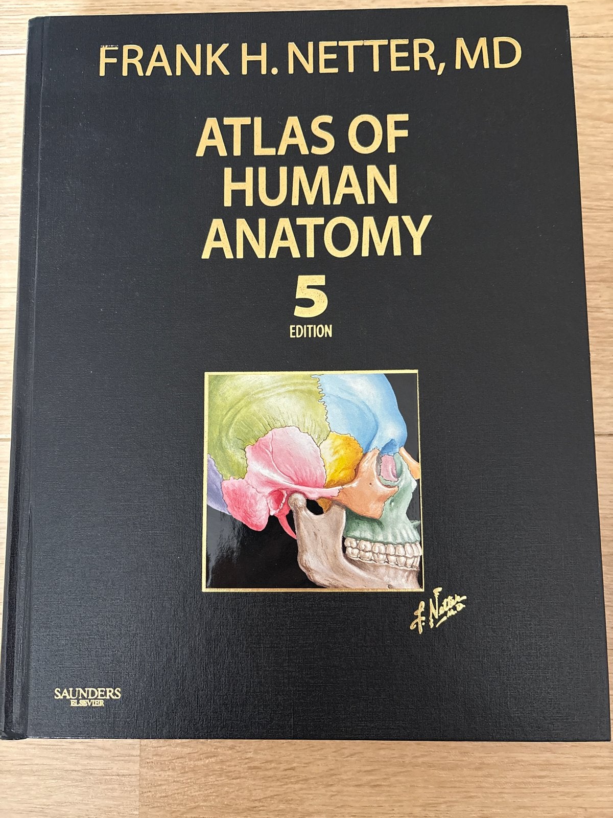Netter's Atlas of Human Anatomy 5e - Medisch Studieboek, Boeken, Ophalen of Verzenden, Beta, Zo goed als nieuw, WO