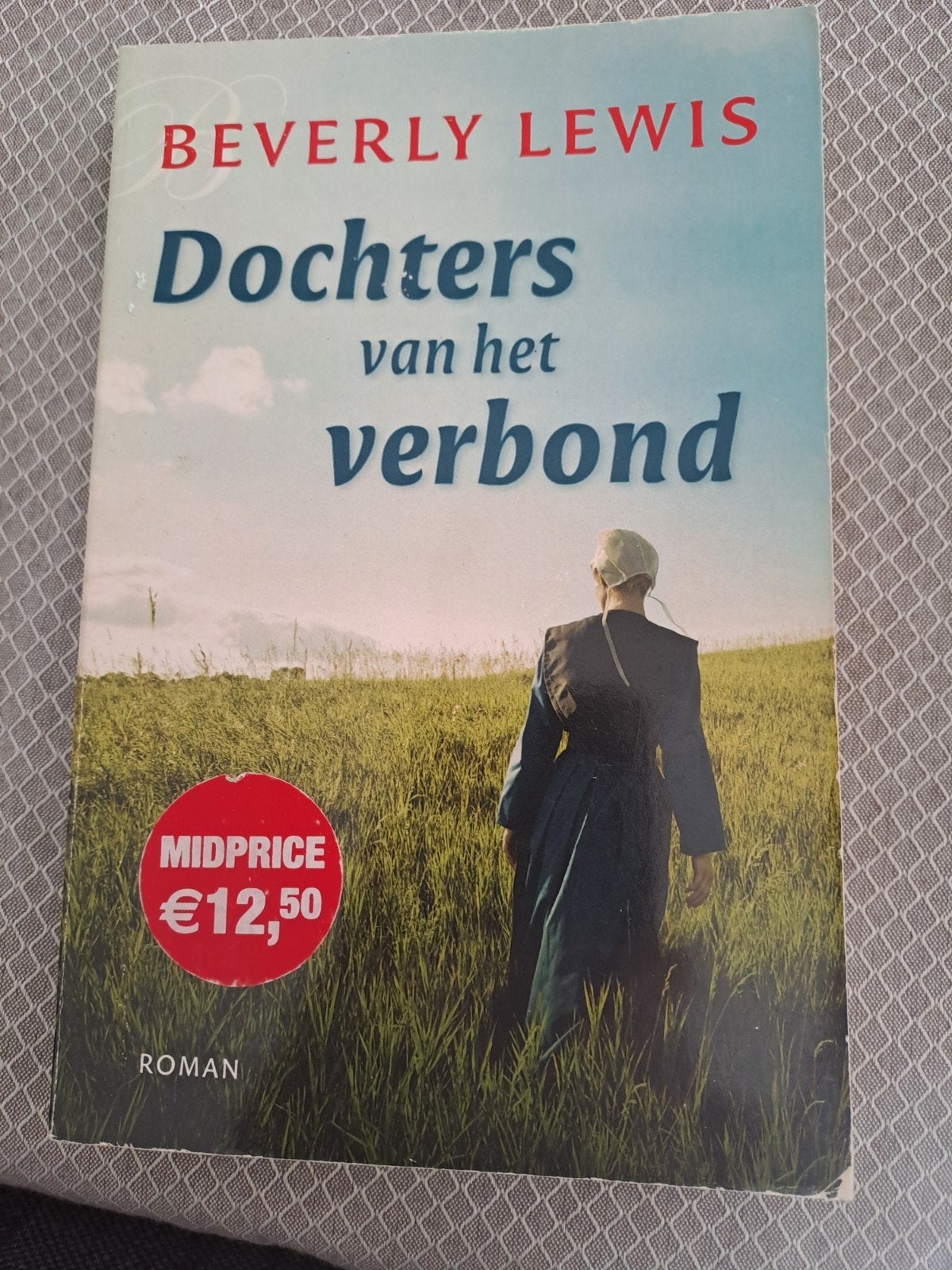 Beverly Lewis - Dochters van het verbond (Roman), Boeken, Romans, Ophalen of Verzenden, Gelezen, Beverly Lewis, Amerika