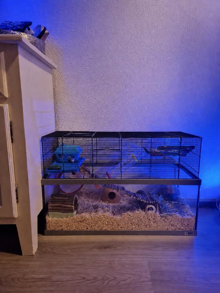Hamsterkooi, Dieren en Toebehoren, Ophalen, Minder dan 75 cm, Kooi, Minder dan 60 cm