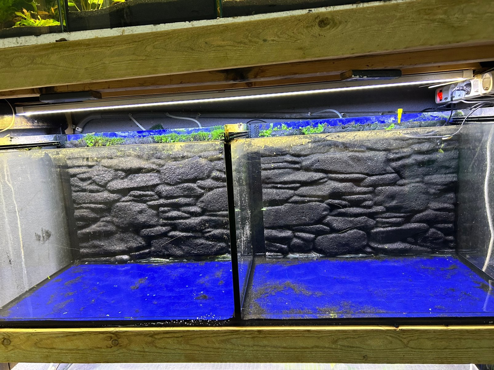 Aquarium kweekbakken, Dieren en Toebehoren, Ophalen, Zo goed als nieuw, Leeg aquarium