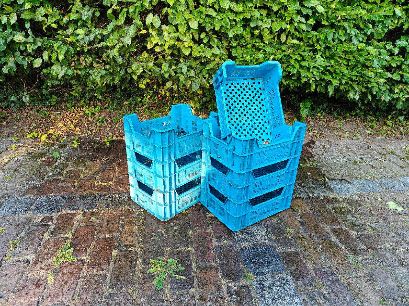 Fruit kratjes/ veiling kratjes. 30x40cm 7 stuks, Ophalen, Gebruikt, Minder dan 35 cm, Minder dan 50 cm