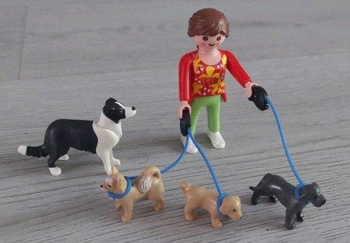 Playmobil 5380 -Honden oppas, Ophalen of Verzenden, Zo goed als nieuw, Jongen of Meisje