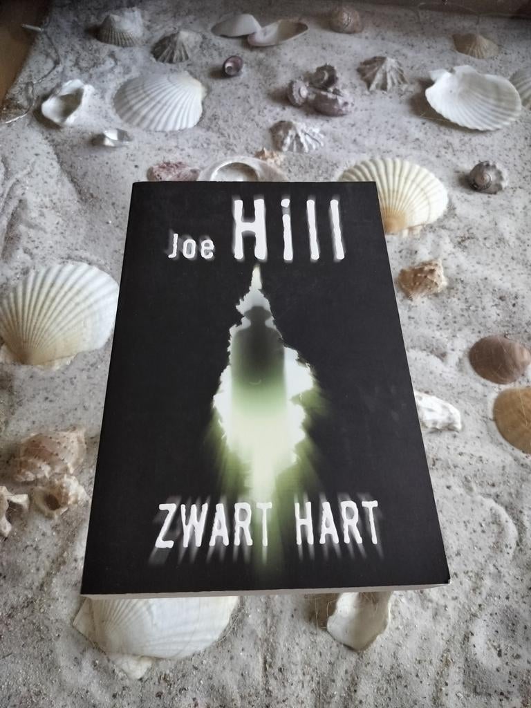 Joe Hill - Zwart hart, Boeken, Thrillers, Gelezen, Ophalen of Verzenden, Jane Hill