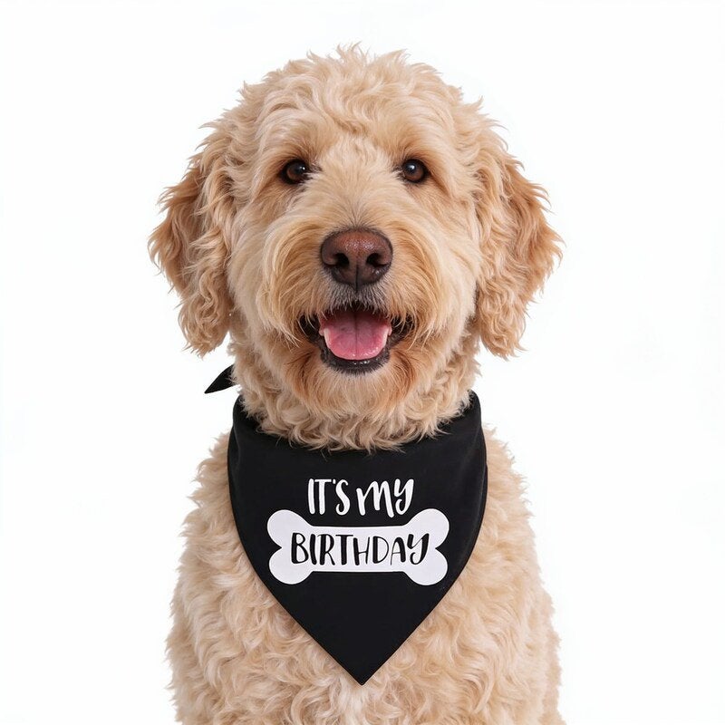 Honden bandana It’s my Birthday in diverse kleuren, Overige typen, Nieuw, Ophalen of Verzenden, Struikheide 64,3069lj,Rotterdam
