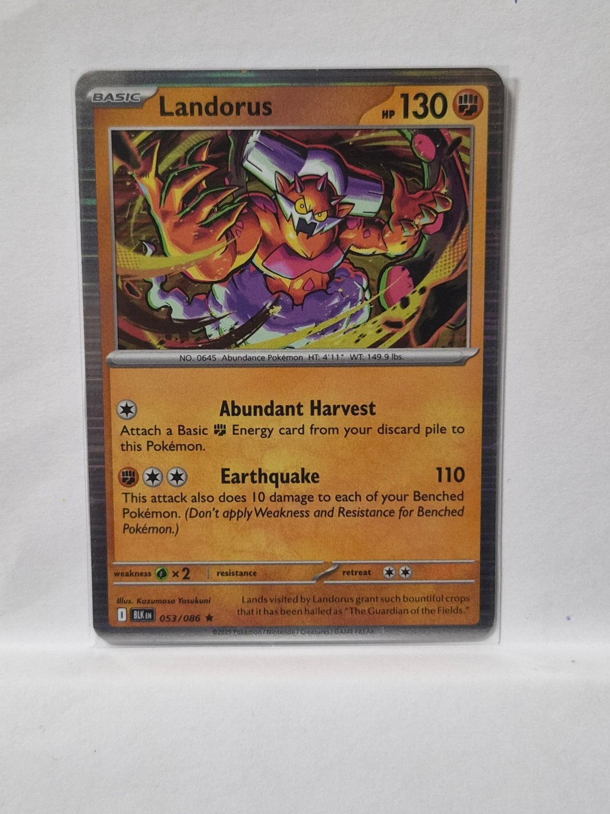 Landorus 053/086 Pokemon Kaart, Hobby en Vrije tijd, Verzamelkaartspellen | Pokémon, Ophalen of Verzenden, Zo goed als nieuw, Losse kaart
