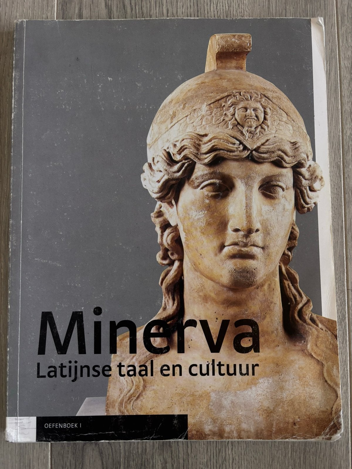 Minerva: Latijnse taal en cultuur - Oefenboek 1, Ophalen of Verzenden, Alpha, Gelezen, MBO
