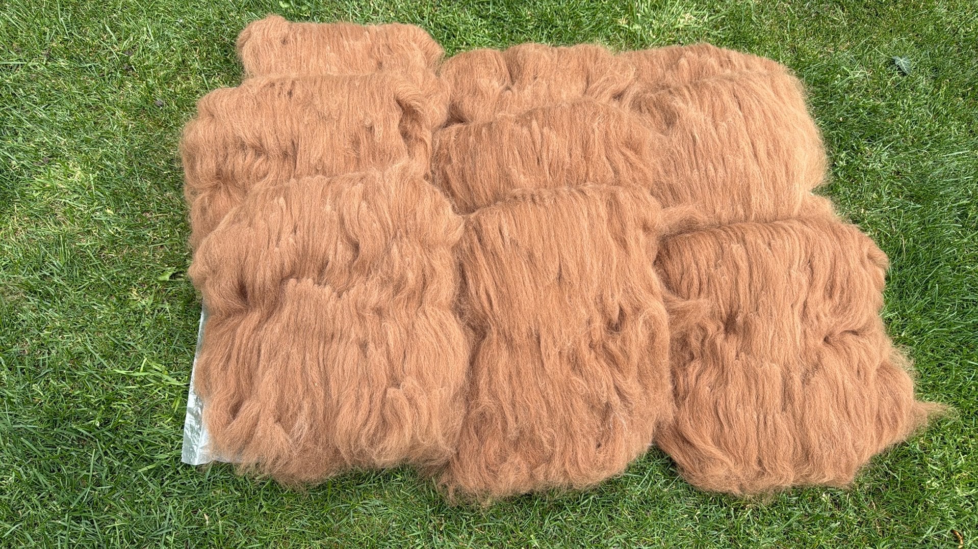 Alpaca wol lichtbruin dubbel gekaard voor spinnen of vilten, Ophalen of Verzenden, Nieuw, Spinwol