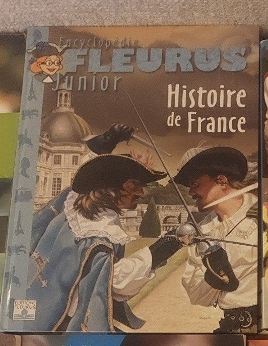 Histoire de France, Ophalen of Verzenden, Zo goed als nieuw