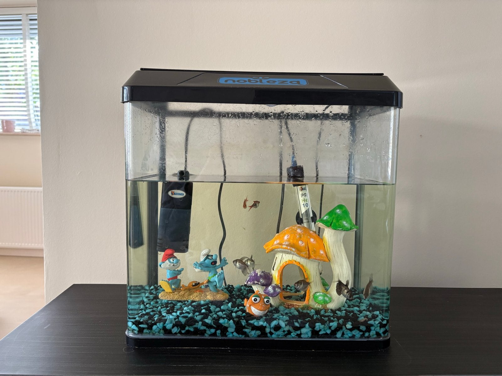 Aquarium inclusief tropische visjes, Ophalen, Inclusief toebehoren, Gebruikt, Gevuld zoetwateraquarium